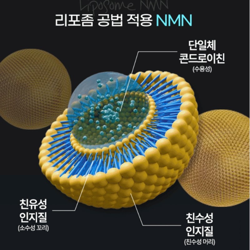 Liposome NMN efficacy phytochemical Phytochemical NMN MNM 90 tablets /