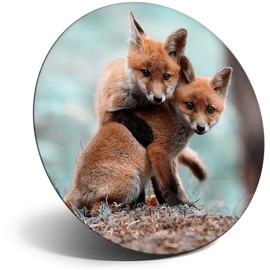 Destination Vinyl ltd Magnet for Refrigerator, Fridge - Little Ginger Fox Cubs Playing for Office, Cabinet and Whiteboard, Magnetic Stickers, 45573