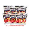 Quench Gum Variety Bag, Electrolytes Chewing Gum for Athletes and