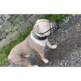 Genuine Leather Dog Muzzle for American Bully, Bully XL and other similar snout (Black Leather, AB4)