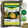 Gabio Green-Tronadora Retama, 3.09 oz/ 105 gr Premium Quality tronadora