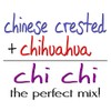 CafePress Chi Chi Perfect Mix Rectangle Bumper Sticker Car Decal