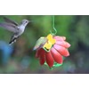 Wild Wings WWSFHF5 So Real Single Flower Hummingbird Feeder, Red/Yellow