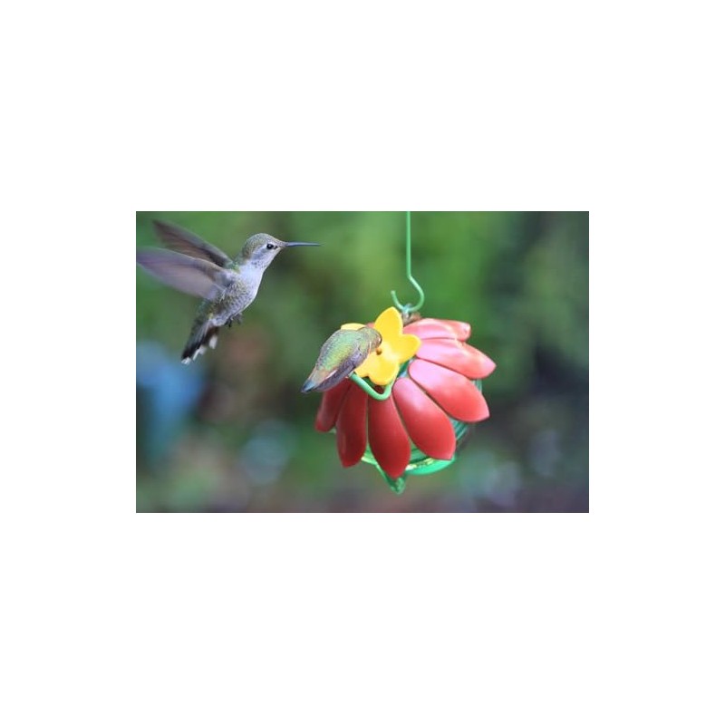 Wild Wings WWSFHF5 So Real Single Flower Hummingbird Feeder, Red/Yellow