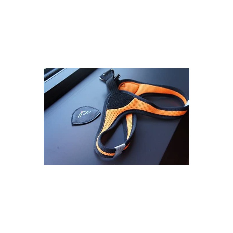 Hakusan First Harness Turquoise Size 3