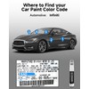 EVOOOR Graphite Shadow(KAD) Touch Up Paint Compatible with Infiniti Exact