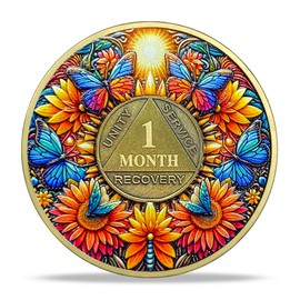 1 Month Sobriety Coin Gifts | Sun and Boat Butterfly AA Coin - HA AA Chip Medallion with Serenity Prayer | Narcotics Alcoholics Anonymous Gifts for Anniversary Month & Year for Men & Women in Recovery