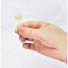 Torne P-3526 Bottle Lunch Picks, Pack of 6