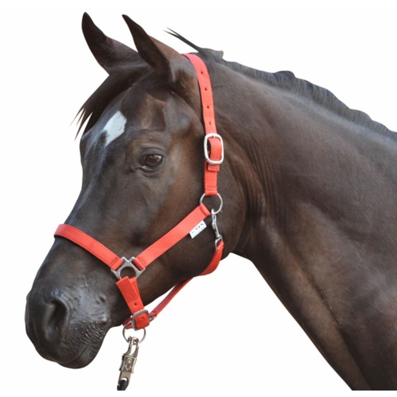 HKM Stars 558526 Headcollar Thoroughbred Dark Blue
