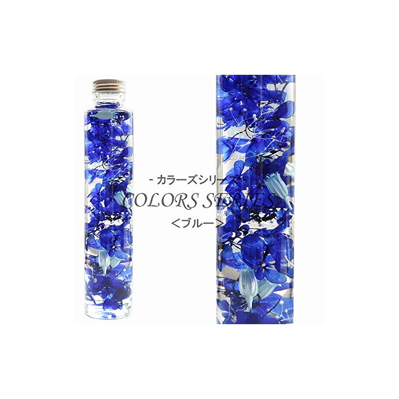 Hortus siccus Blue Colors Series 紫陽花 Daisy Mini Gypsophila Herbarium