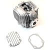 Unbranded TaoTao Mudhawk 6  ATA-110, 110cc  TFORCE, ATV 110cc Cylinder Head (See Notes)