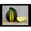 BmoreSPicy.com Tatume Summer Squash 20 Seeds Heirloom Calabash Mexican Zucchini
