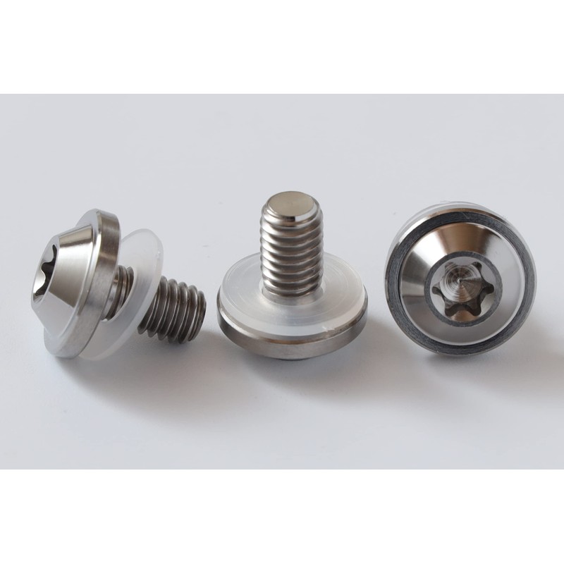 A.N.S Titanium License Plate Bolts M6 / 10mm Set of