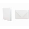 Invitation card set with envelopes and many extra inserts, blank