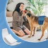 MICOOYO Dog Diaper Liners, Dog Diaper Pads, Disposable Dogs Booster