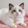 REDANHA 3 Pcs Cat Collar with Bell and Charm, Cute