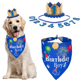 ADOGGYGO Dog Bandana Hat Set for Birthday Party Supply, Boy Girl Pet Birthday Scarf for Medium Large Dog (Large, Blue)