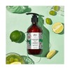 Flu Daily Scrub Body Wash 500g x 3 (+ 3