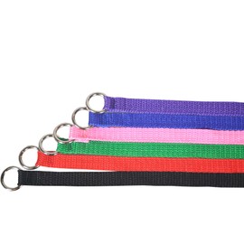 Slip Leads, Kennel Leads with O Ring (6 pack) for Dog Pet Animal Control Grooming, Shelter, Rescues, Vet, Veterinarian, Doggy Daycare - 4' x 5/8"