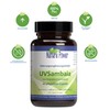 UVSambaia | High Dose | by Nature Power | 60