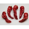 Chimayo Pepper 10+ Seeds