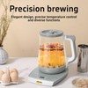 cglightwsparkle Health Pot Electric Kettle with Infuser，Smart Fruit Hot Tea
