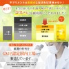 リポソームプラス リポソーム ビタミンC 高濃度 サプリ 1000mg 国産 120粒 30日分