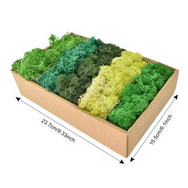 Moss for Decoration and Craft Projects, Preserved Natural Moss in 5 Colours, Moss for Crafts for Moss Pictures, Forest Decoration, Model Making and Christmas Decoration, Moss for Crafts, Durable (200