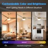 Esiovco Ceiling Fan with Lights and Remote, 3 Blade App
