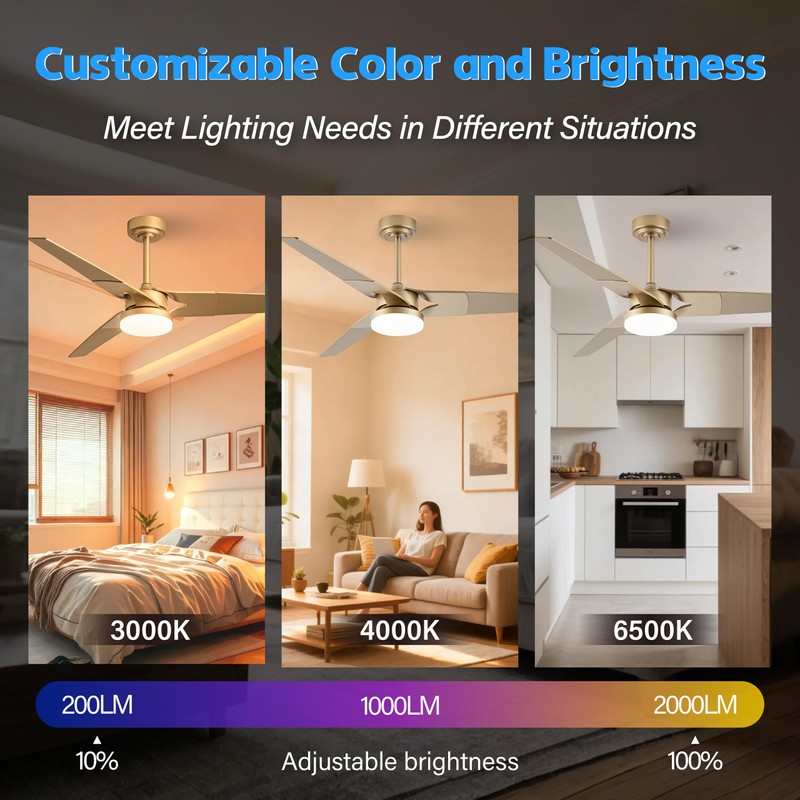 Esiovco Ceiling Fan with Lights and Remote, 3 Blade App