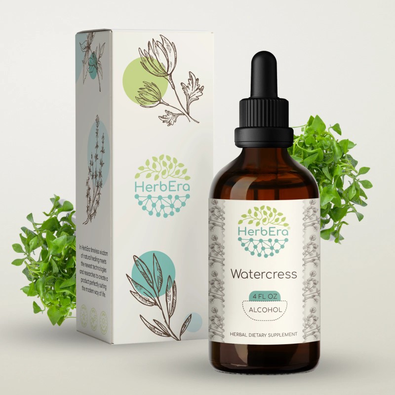 HerbEra Watercress Tincture, Organic Watercress (Nasturtium Officinale) - 4 fl