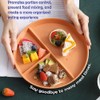 4 Pcs Divided Dinner Plates - Plastic Plates, Picnic Set,
