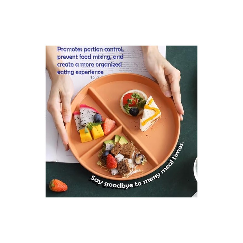 4 Pcs Divided Dinner Plates - Plastic Plates, Picnic Set,