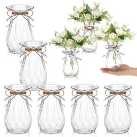 Bokon 6 Packs Small Plastic Bud Vases in Bulk with Gift Wrapping Ribbon, Vases for Flower, Wedding Centerpieces for Home Decor, Living Room, Office Decoration, Housewarming Party Gift (Clear)