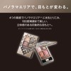 Visee Riche BR-4 Eye Palette, Panoramic Design, Orange Brown, 0.2