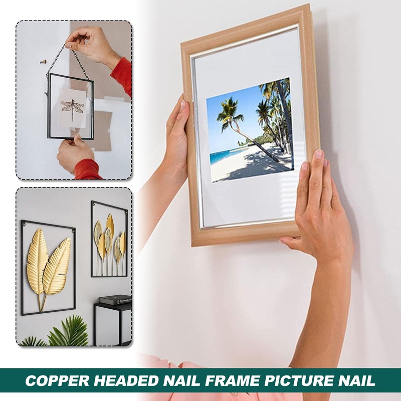 Picture Pins Nails, 100pcs Picture Hanging Nails for Wall Pins