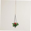 CAXUSD 2Pcs Iron Air Plant Holders Hanging Plant Shelves for