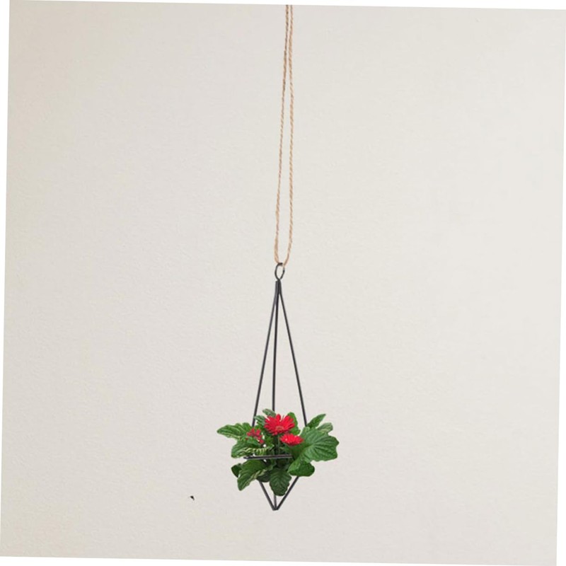 CAXUSD 2Pcs Iron Air Plant Holders Hanging Plant Shelves for