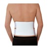 Hydas Back Support Belt with Heat Application Including 2 Heat