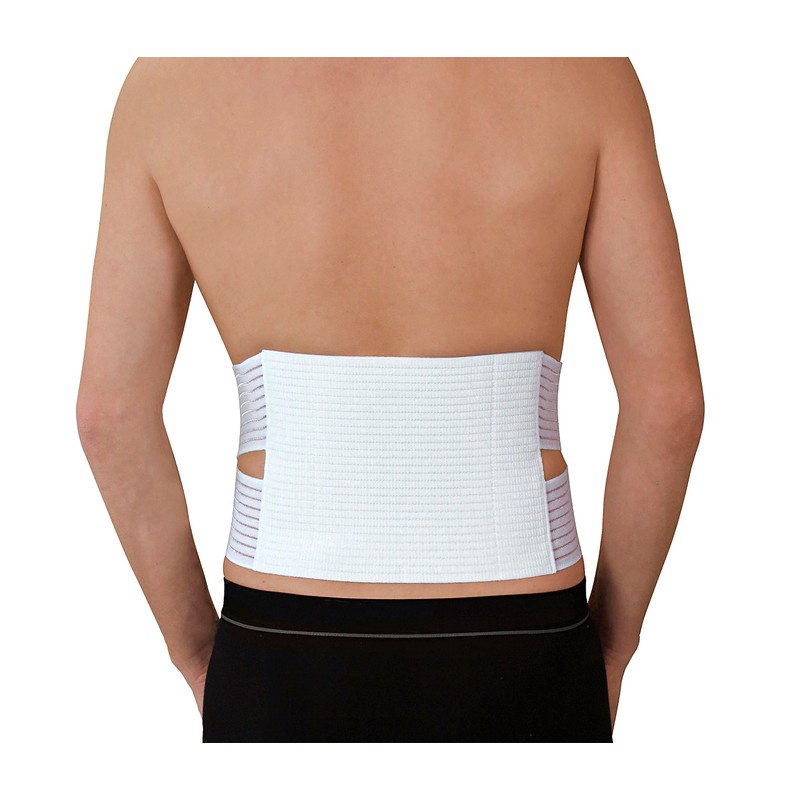 Hydas Back Support Belt with Heat Application Including 2 Heat