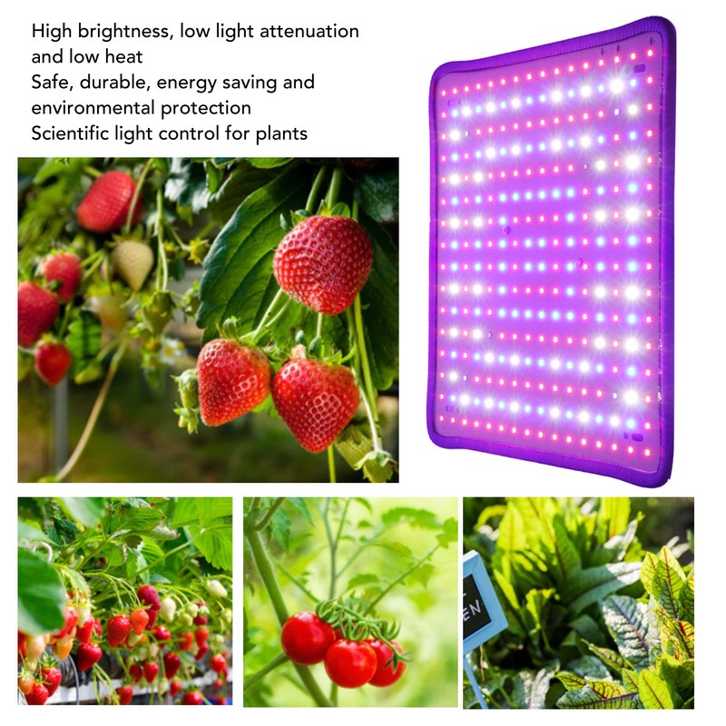 Plant Growing Lamp Scientific Control Low Heat LED Grow Light