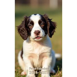 Pocket Calendar 2026-2027: Small 2-Year Monthly agenda from January 2026 to December 2027 purse size | English Springer Spaniel Dog Design