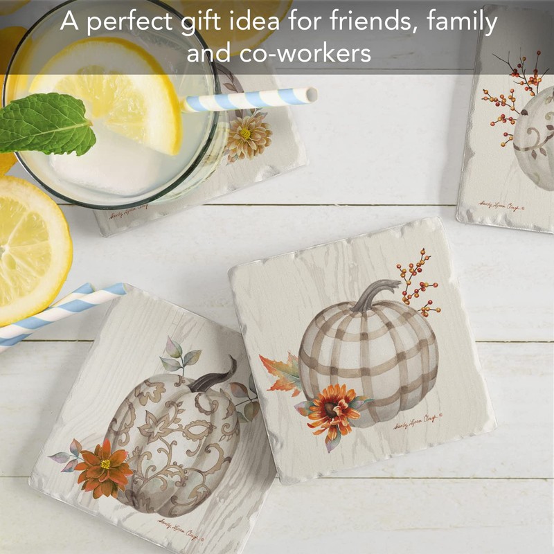 Thirstystone Chinoiserie Fall Pumpkins Assorted Tumbled Tile Stone Coasters with