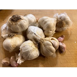 ESKS Organic Non GMO Garlic Bulbs for Planting Or Eating 7 Pack (apprx 50-70 Cloves)