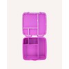 MontiiCo Feast Lunch Box - Fuschia