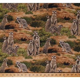 Cotton Meerkats Suricates Mongoose Africa African Animals Wildlife Scenic Nature Born Free Cotton Fabric Print by The Yard (112-31941)