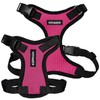 Voyager Step-in Lock Pet Harness - All Weather Mesh, Adjustable