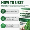 PENHOMENT Moringa Leaf Tea Bags with Ashwagandha - 40 Tea