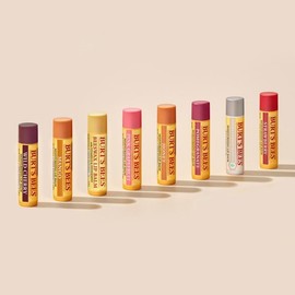 Burt's Bees 버츠비 립밤 8종 택1 Burt's Bees Lip Balm 8 Types Select 1