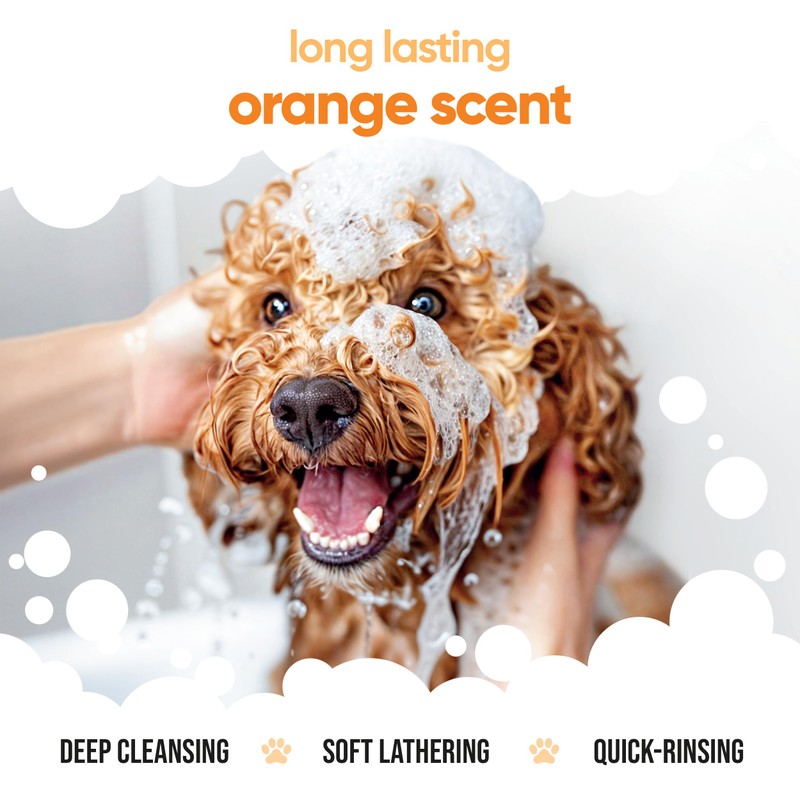 Buddycare Hundeshampoo mit Orangen – Tiefenreinigungsshampoo für Hunde – fruchtiger